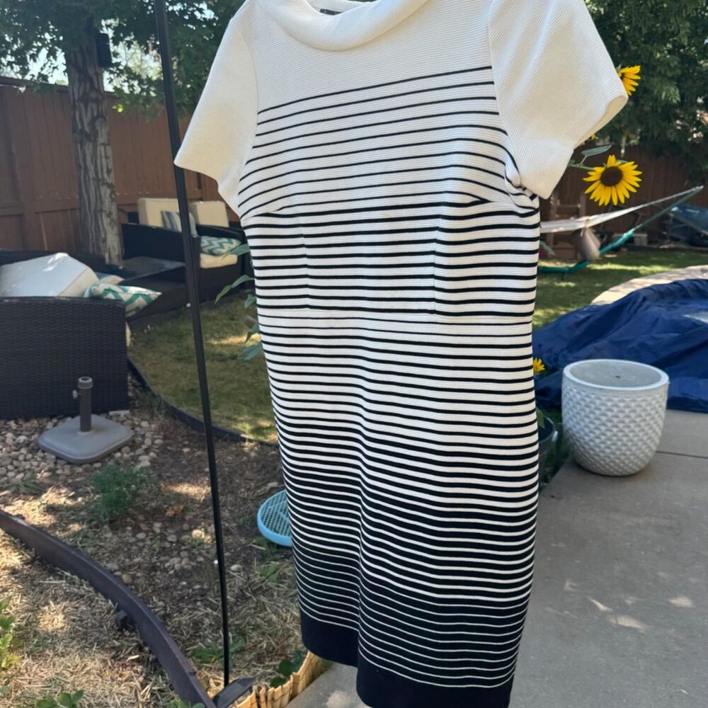 Talbots Black and White Knee-Length Dress Short Sleeve Accent Collar - Picture 7 of 9